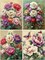 4 Pack 5D Diamond Painting Kits for Adults, Flower Diamond Art Kits for Beginners of All Ages, Round Full Drill Painting by Numbers Crafts Home Wall Decor